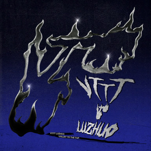 最新猫咪www免费人成
