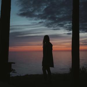 最新猫咪www免费人成
