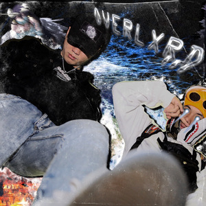 最新猫咪www免费人成
