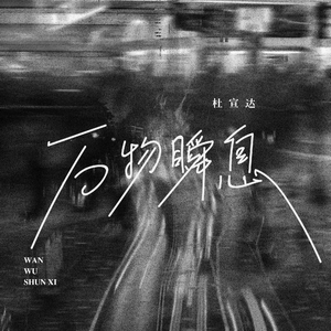 最新猫咪www免费人成
